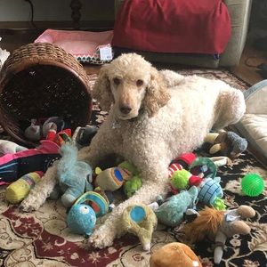 Meet your Posher, Christine